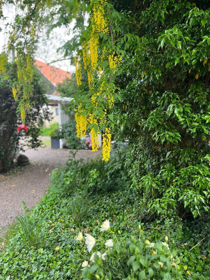Solhaga Kullahalvoen Villa Jonstorp Eksteriør billede